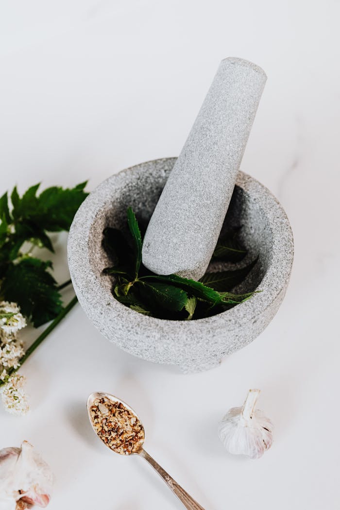 Close-up of stone mortar and pestle with fresh herbs and spices on a white background.